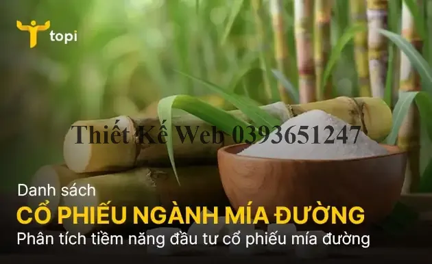 Danh sách cổ phiếu ngành mía đường và tiềm năng đầu tư